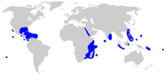 Range of the silvertip shark