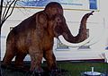 mamut (Mammuthus sp.) (vymretý)