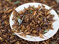 'Chingrit thot': deep-fried crickets