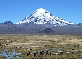 Sajama National Park