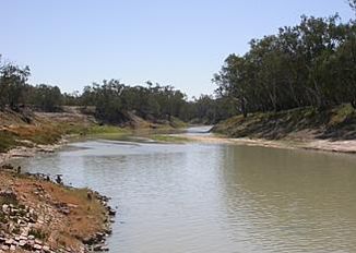 Dr Darling River bi Bourke mit überdurchschnittlig vil Wasser