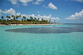 Plage de Sainte-Anne (Guadeloupe)