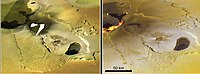 Twee foto's van Tvashtar Patera[3] op Io door de Galileosonde met drie maanden tussentijd. De beweging van de lava is zichtbaar. Galileo nam een lava-uitbarsting waar uit de kleine vulkaankrater (patera) in het midden, en het lavameer uit de grotere patera daarboven.