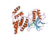 2o0u: Crystal structure of human JNK3 complexed with N-{3-cyano-6-[3-(1-piperidinyl)propanoyl]-4,5,6,7-tetrahydrothieno[2,3-c]pyridin-2-yl}-1-naphthalenecarboxamide