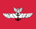 Drapeau aéronautique (1920–1928)