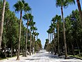 Rambla de Almería