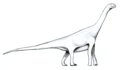 Amygdalodon