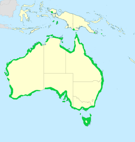 Australische bonte scholekster