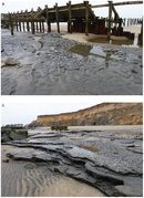 April 8: the site of the ancient Happisburgh footprints