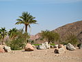 Taba Heights, Sinai