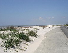 Plage entre Johnson Bayou et Holly Beach