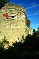 tower and turret in the background