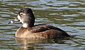 female, Ralph B. Clark Park Buena Park, CA, USA