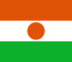 Niger op de Olympische Jeugdzomerspelen 2010