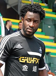 Wilfried Bony (2013)