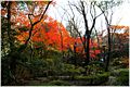 高橋是清翁記念公園 Takahashi Korekiyo Memorial Park