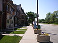 Businesses along Vliet Street