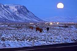 セールフォスの夜景（12月）