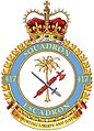 417 Sqn crest