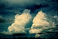 Two Cumulus congestus