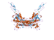 2e4u: Crystal structure of the extracellular region of the group II metabotropic glutamate receptor complexed with L-glutamate