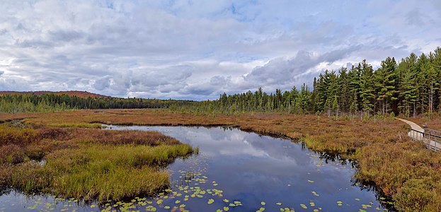 "Sunday_Creek_Bog.jpg" by User:The Cosmonaut