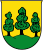 Wapen van Saalfelden