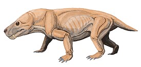 Реконструкция Moschorhinus kitchingi