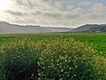 Vale da Ribeira de Seixe, na freguesia de Odeceixe