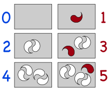 Na esquerda, caixas com 0, 2 e 4 objetos brancos em pares; na direita, 1, 3 e 5 objetos, com objetos não pareados em vermelho.