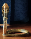 Thumbnail for File:Naja naja (captive).png