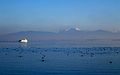 Chiemsee in winter