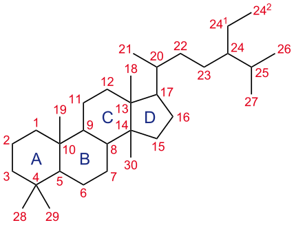 Trimethyl steroid-nomenclature