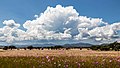 45 Large cloud over Mexican landscape uploaded by Tomascastelazo, nominated by Tomascastelazo