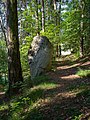 * Nomination Menhir (eastern aspect) at the farmhouse Moar in Ums South Tyrol.This media shows the cultural heritage monument with the number 15371 in South Tyrol. --Moroder 19:20, 25 May 2018 (UTC) * Decline Please have a look to the branches at the top. IMO too much CAs. --XRay 05:06, 2 June 2018 (UTC) Comment Yes, unfortunately CA's on branches of trees against a blue sky are very difficult to avoid even with good equipment and postprocessing. Thanks for your review --Moroder 06:38, 5 June 2018 (UTC)  Oppose For me CA is a minor effect here. More disturbing is overexposure. The meadow in background is extremely overexposed. (I know it's difficult to avoid.) And even on the main subject of the picture, the menhir, one finds overexposed spots. I would try HDR or wait for easier light conditions. --Johannes Robalotoff 21:05, 5 June 2018 (UTC)