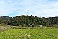 静岡県 洗田遺跡