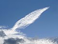 Thumbnail for File:Quill-shaped cirrus cloud.jpg