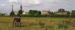 Skyline of Saint-Pierre-le-Vieux (Vendée)