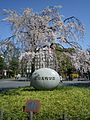 上野恩賜公園 Ueno Park