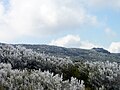 Hoar frost in the Serra da Estrela in Portugal