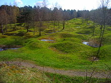 Champ d'herbe verte bosselé avec quelques arbres.