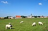 Kasteelhoeve genaamd "Ferme Libois" (monument) geheel van hoeve en omliggende terreinen (site)