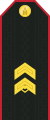 Mongolian Army-SGT-service