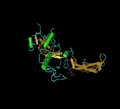 Bone Morphogenetic Protein-7 (Bmp-7) In Complex With The Secreted Antagonist Noggin