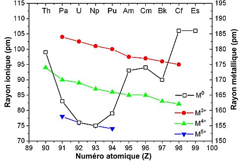 Rayon métallique (en noir) des actinides. On observe que le rayon métallique du protactinium, de l'uranium, du neptunium et du plutonium est sensiblement inférieur à celui des autres actinides (thorium, américium, curium, berkélium, etc.). Cet effet est imputable aux électrons des orbitales 5f.