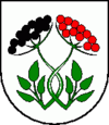 Wappen von Bzince pod Javorinou