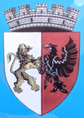 Wappen von Salonta