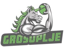 KK Grosuplje logo