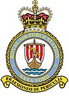 RAF Saxa Vord badge