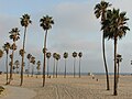 Species in Venice Beach, California